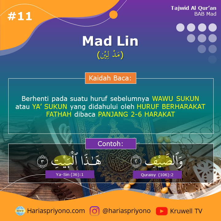 Mad Lin Mad Lin